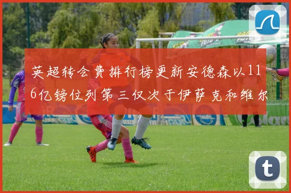 英超转会费排行榜更新安德森以116亿镑位列第三仅次于伊萨克和维尔茨